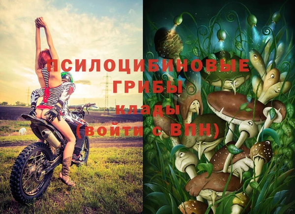 амф Бородино