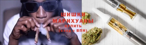 амф Бородино