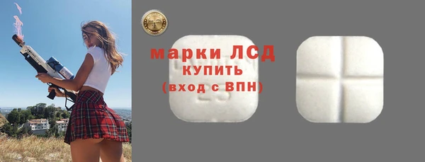 амф Бородино