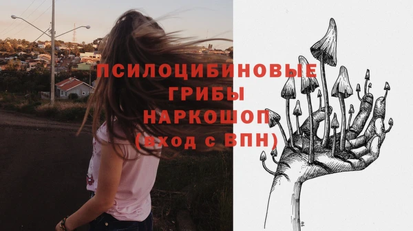 амф Бородино