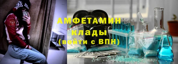 амф Бородино