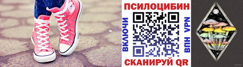 Галлюциногенные грибы Psilocybe  Новый Уренгой 